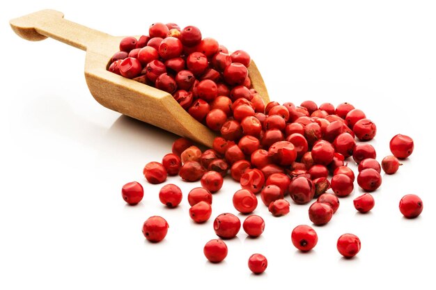 사진 핑크색 페퍼콘 베리 (pink peppercorn berries) 는 색에 분리되어 있습니다.