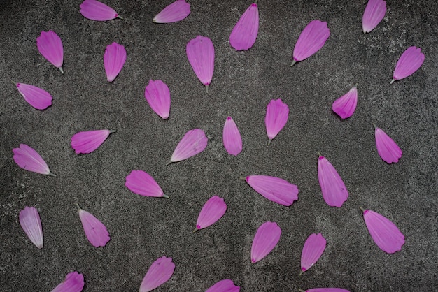 사진 검은 대리석 배경에 분홍색 꽃잎