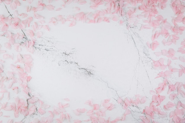 Photo pink petals on a trendy marble background