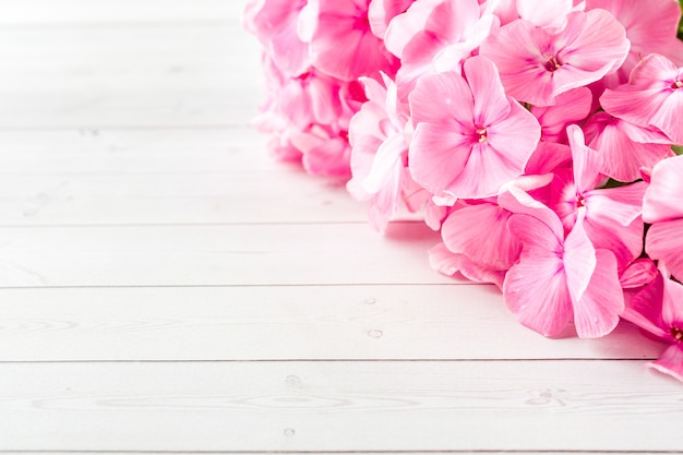 Pink Phlox flowers on white table.