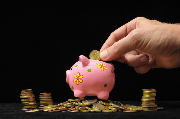 Pink Pig Piggy Bank