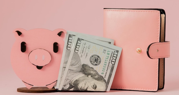 Розовая свинья и сумочка с долларами на розовом фоне