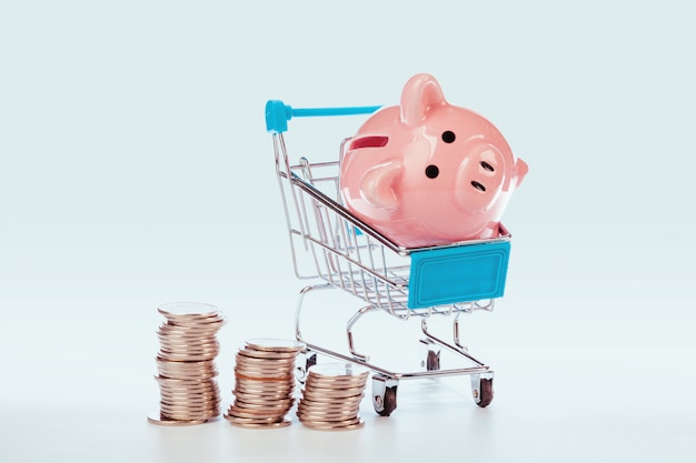 Pink piggy bank and coins isolated on white