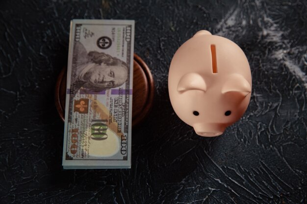 Pink piggy bank and dollar banknote on the judge