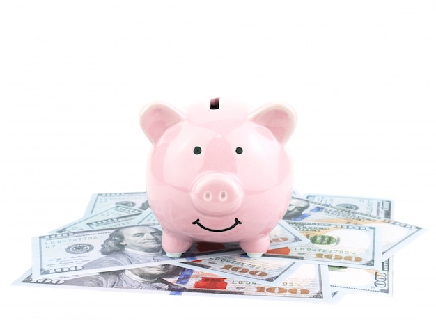 pink piggy bank on dollars banknote isolated on white background, saving concept