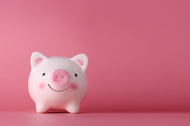 Pink piggy bank on isolated on pink