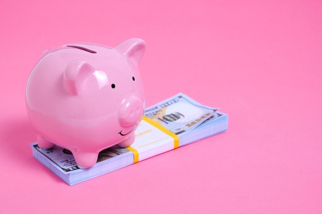 Pink Piggy Bank and a Stack of Hundred Dollar Bills on a Pink Background.