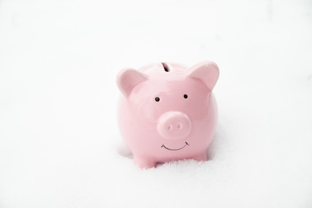 A pink piggy bank stands in the snow on the street