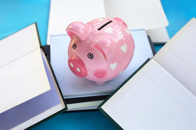 Pink piggy bank with books
