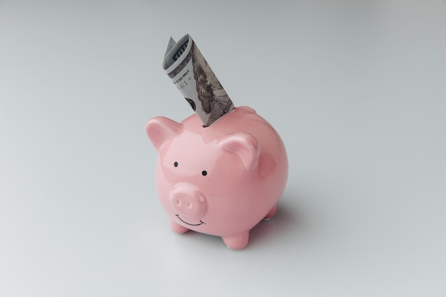 Pink piggy bank with dollar banknote on a white background. Finance and saving money concept