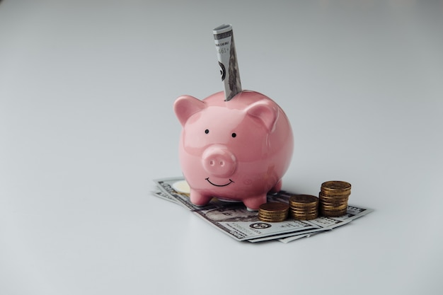 Pink piggy bank with dollar banknotes and coins. Finance and saving money concept