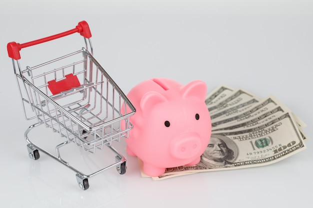 Pink piggy money box, dollar banknotes and mini shopping cart