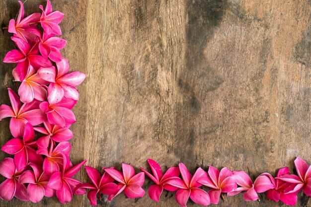 Pink plumeria flowers on a wooden background