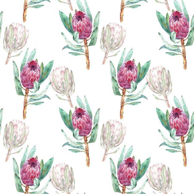 Photo pink protea flower watercolor illustration. seamless pattern design on a white background.