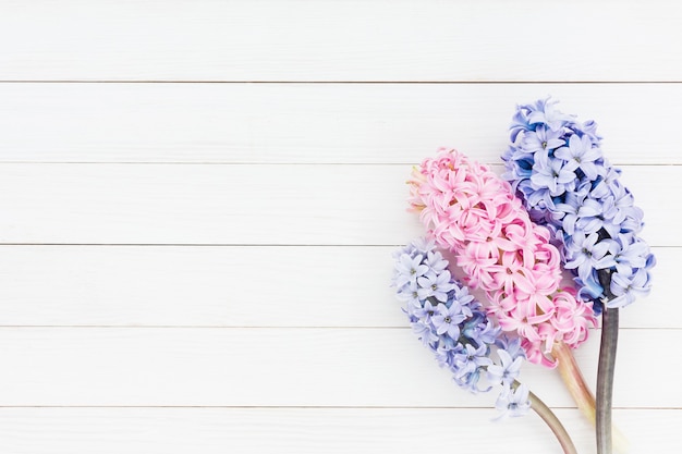 Photo pink and purple hyacinths on white wooden table.