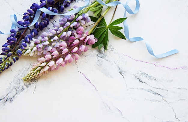 Pink and purple lupine flowers