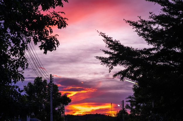 Pink and purple sky at sunset