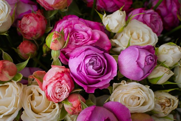 Pink purple white roses background