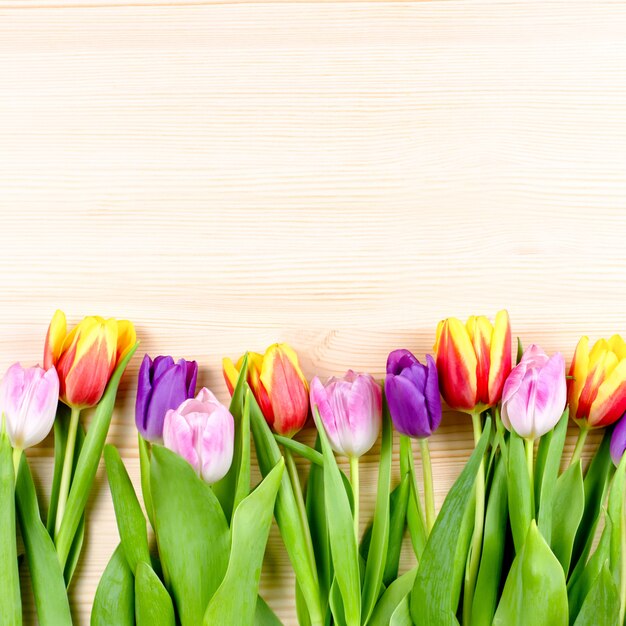 Pink, purple, yellow tulips on wooden