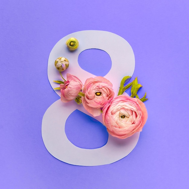 pink ranunculus decorates the number eight on purple background greeting card
