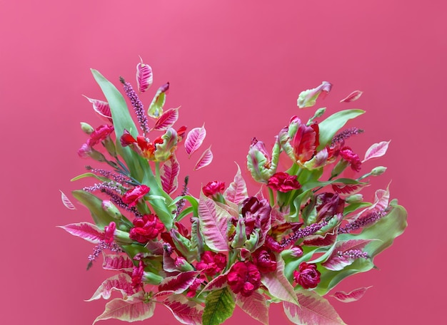 Photo pink and red flowers on pink background