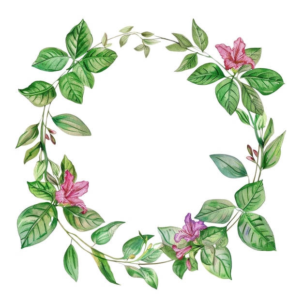 pink and red flowers wreath isolated on white background watercolor art aig56