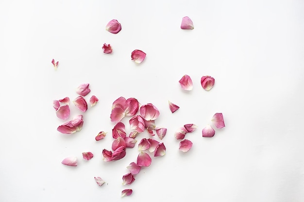 фон розовых и красных лепестков / абстрактный аромат фона, спа розовые лепестки