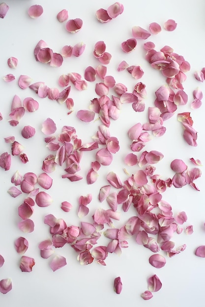 фон розовых и красных лепестков / абстрактный аромат фона, спа розовые лепестки