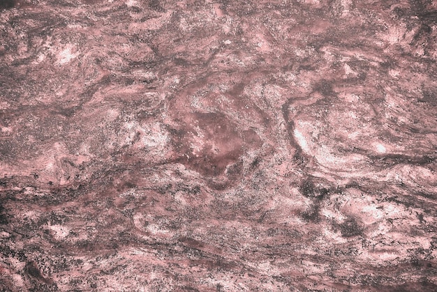 Photo a pink rock with a fish in it