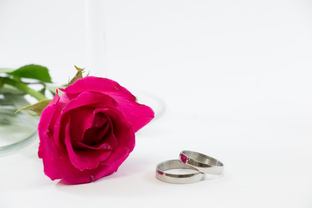 Pink Rose, Betrek ring met liefde in Valentijnsdag