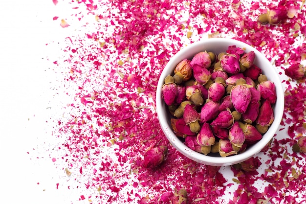 Pink rose buds