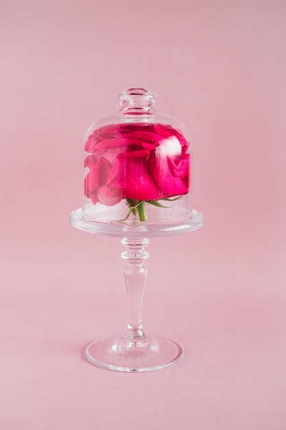 Photo pink rose composition on glass cake stand, trends composition