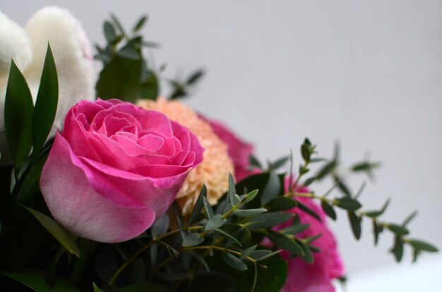 Pink rose flower arrangement on white background