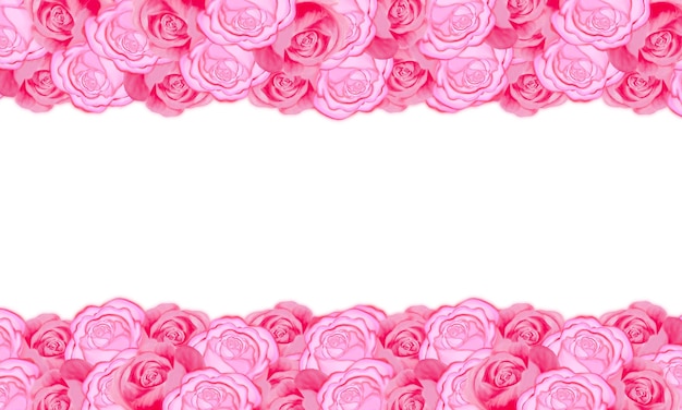 Pink rose flower with white space flower background