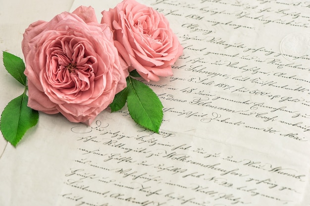 Foto fiori di rosa rosa su antica lettera scritta a mano. sfondo di carta d'epoca. messa a fuoco selettiva