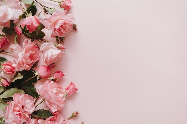 Pink rose flowers bouquet on pink background. Flat lay