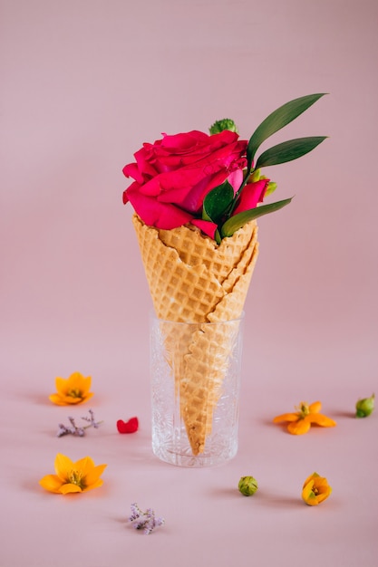 Pink rose in Ice Cream on pink, copy space