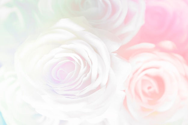 Розовая роза с рисунком фона