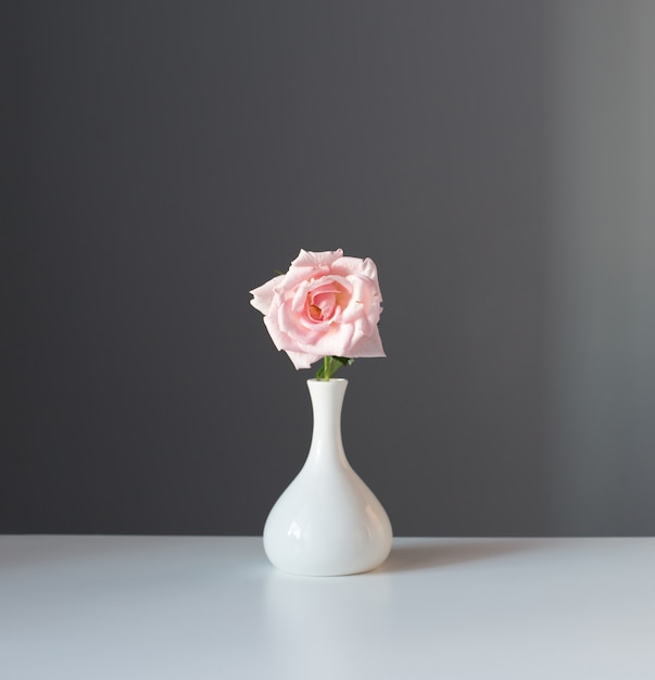 Pink rose in white vase on gray background