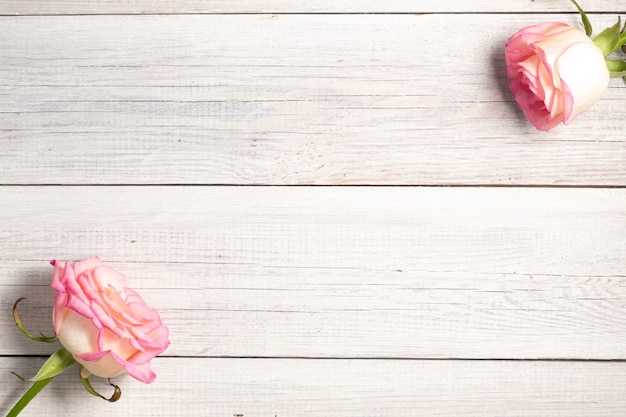 Pink rose on white wooden vintage background.