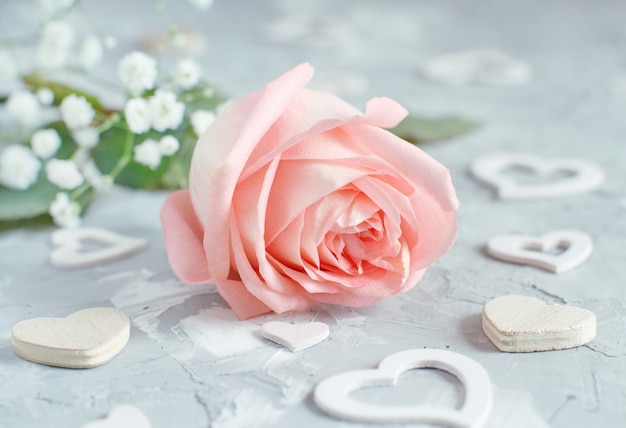 Pink rose with hearts on a grey background