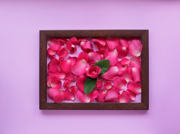 pink rose in wooden frame