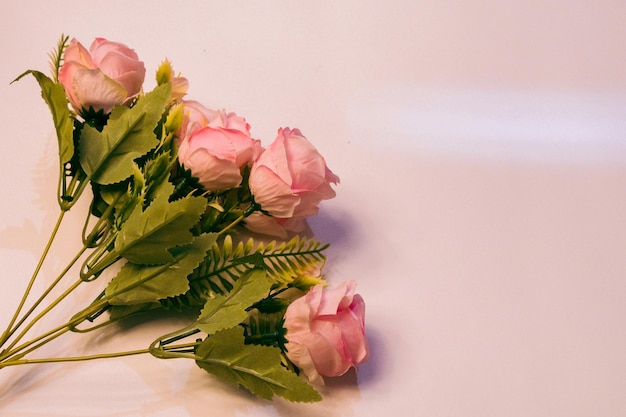 Photo pink roses on background