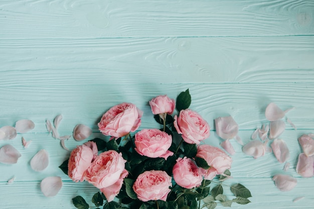 Photo pink roses on a blue table , summer concept