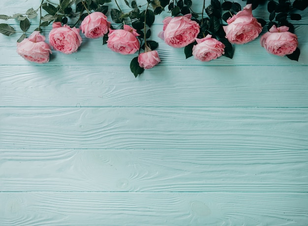 Pink roses on a blue table , Summer concept