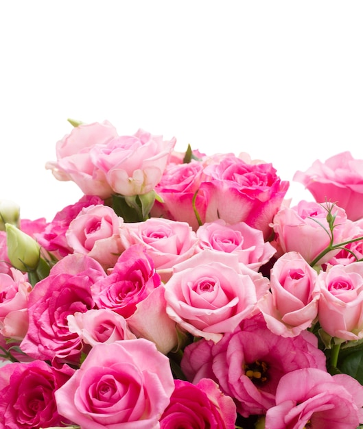 Pink roses and eustoma flowers close up isolated