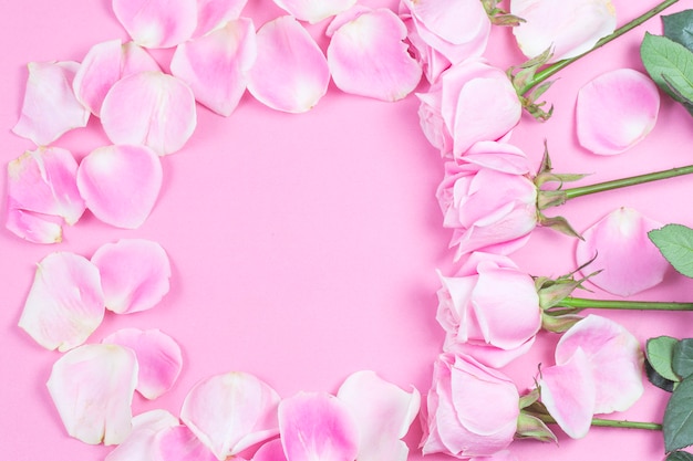 Фото Розовые розы на розовом фоне