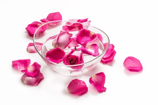Rose rosa e petali in una ciotola con acqua pura su bianco... spa e concetto di benessere.