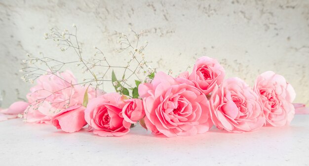 Pink roses and petals on white background perfect for background greeting cards and invitations