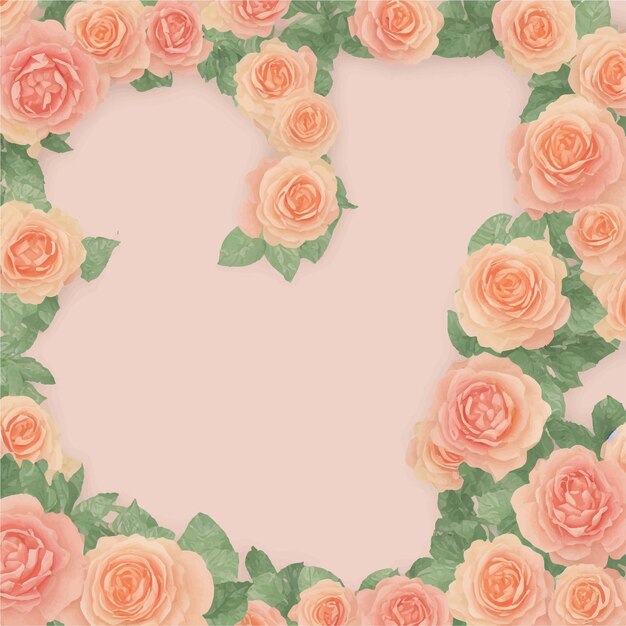 Pink roses on a pink background